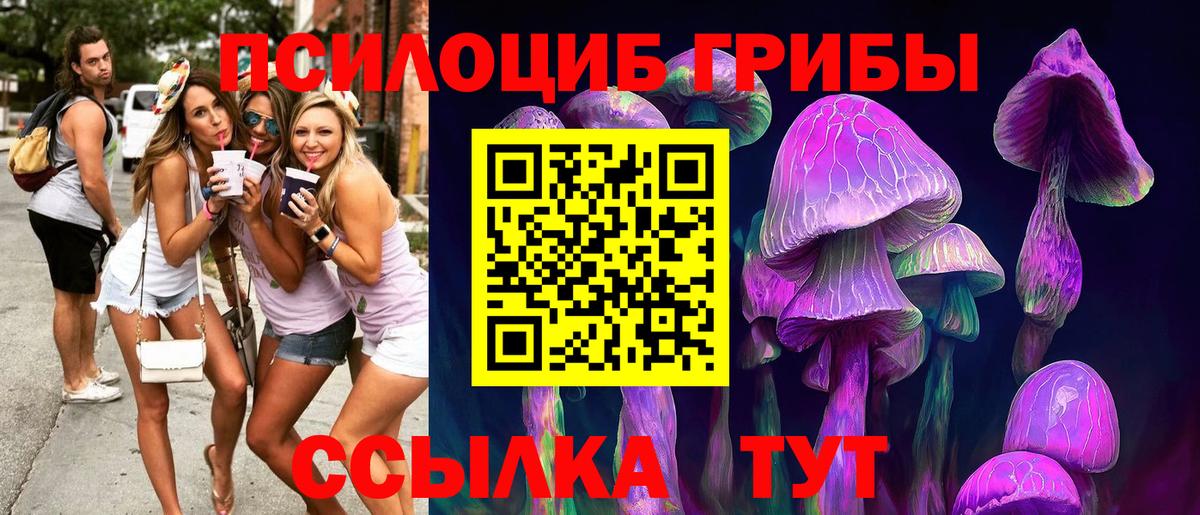 Ликино-Дулёво  Галлюциногенные грибы Cubensis  Галлюциногенные грибы ЛСД  Вход с VPN 